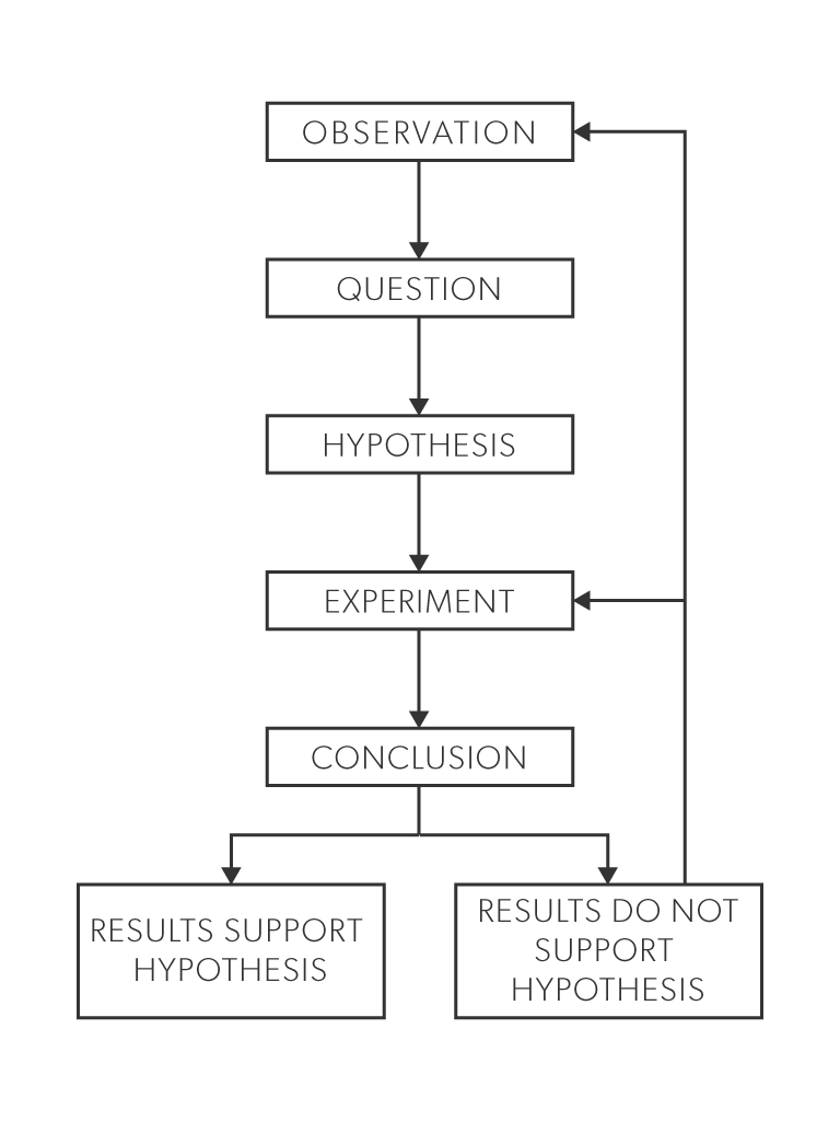 Flow chart of the Scientific Method: observation, question, hypothesis, experiment, conclusion and supporting or not supporting results